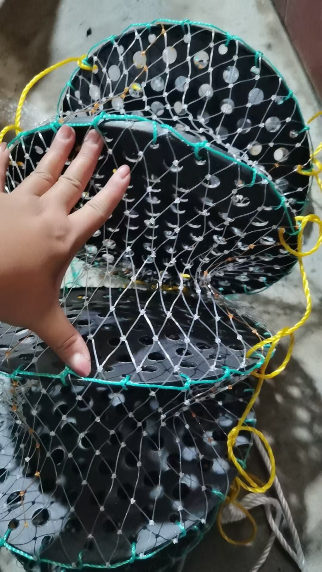 單絲網生蠔籠 白膠絲網生蠔養殖籠